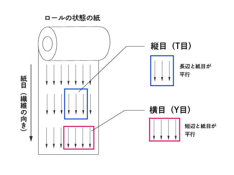 「縦目（T目）」「横目（Y目）」